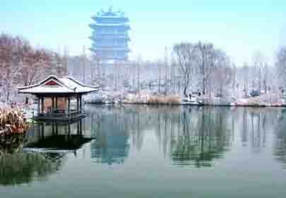冬天，做個(gè)溫暖的人，努力向陽生長(zhǎng)
